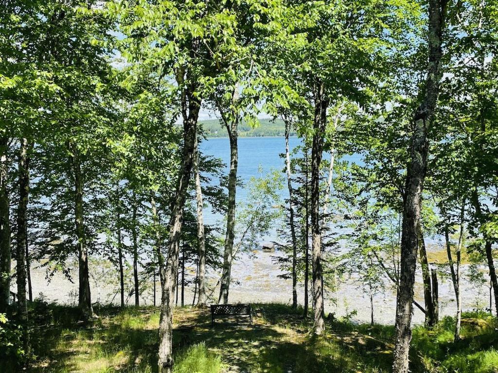 Chalet With A Private Beach In Acadia National Park Bar Harbor Buitenkant foto
